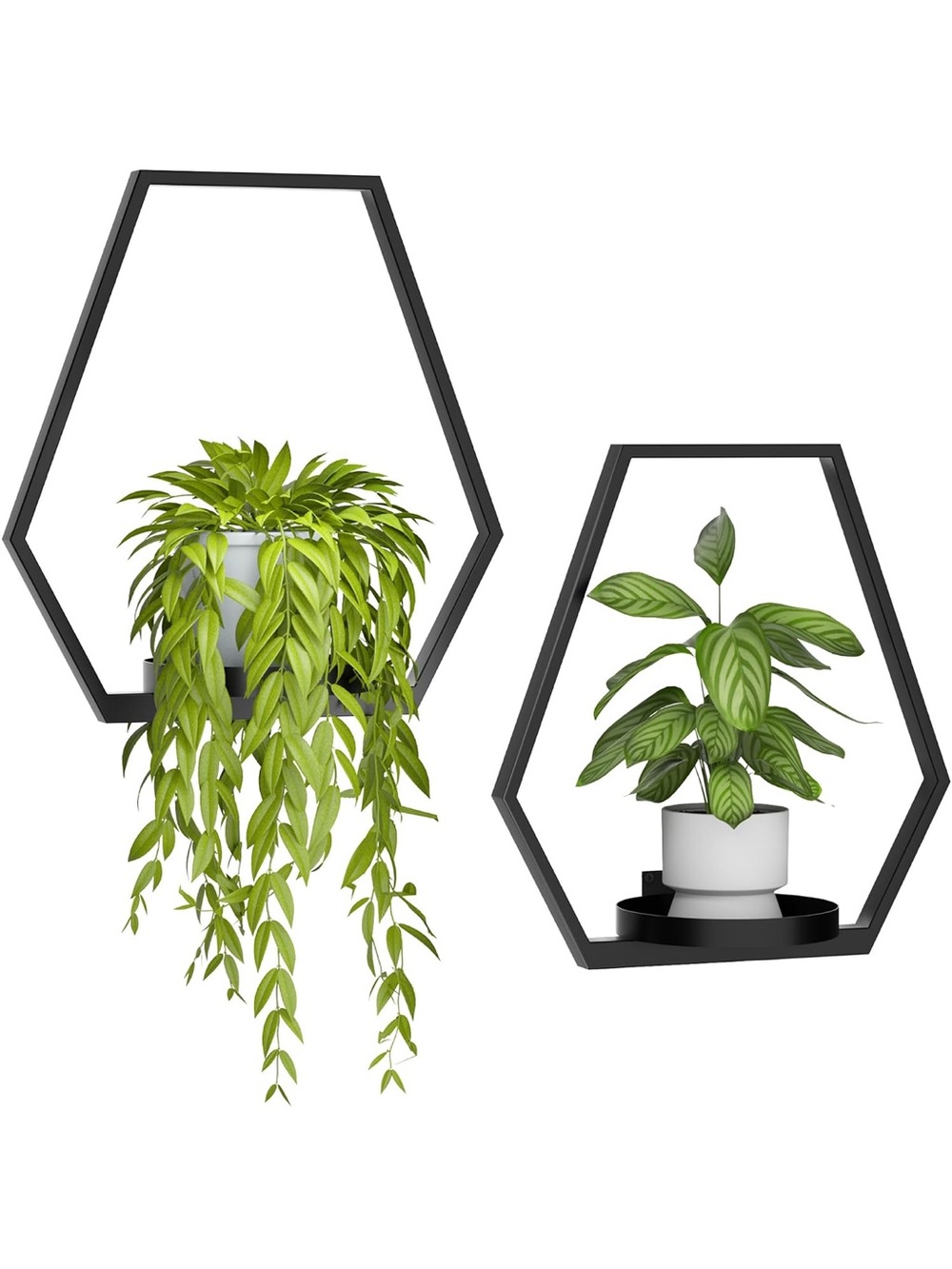 New Open Box Wall Planters for Indoor Plants Plant Frames Wall Decor Living Room